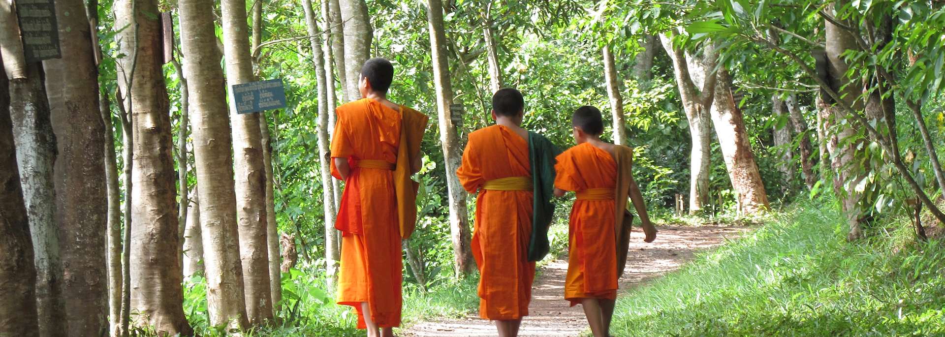 Monks, Luang Prabang