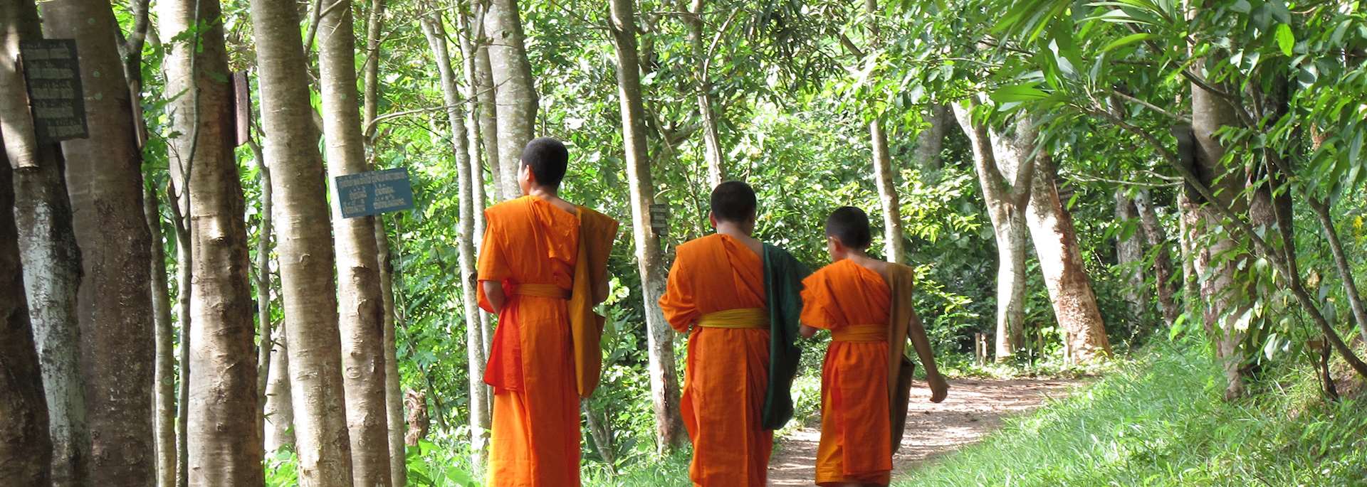 Monks, Luang Prabang