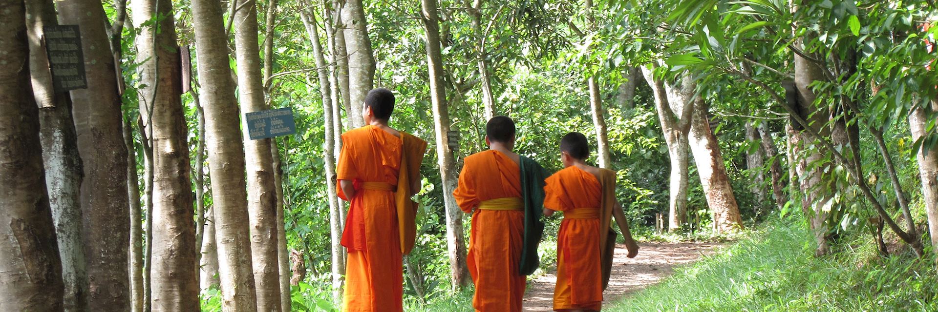 Monks, Luang Prabang