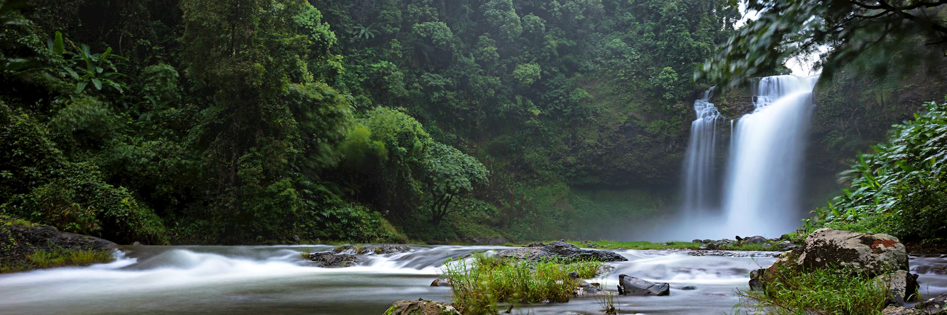 Bolaven Plateau