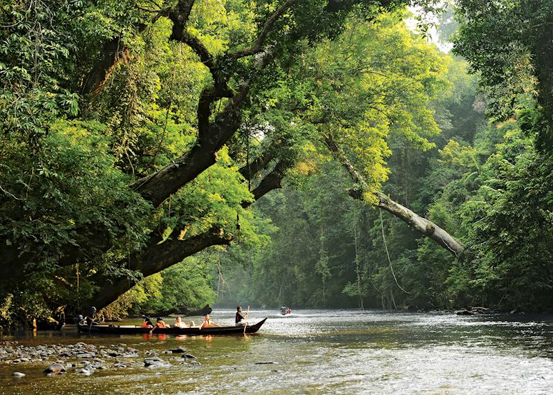 Longtail boat, Taman Negara National Park