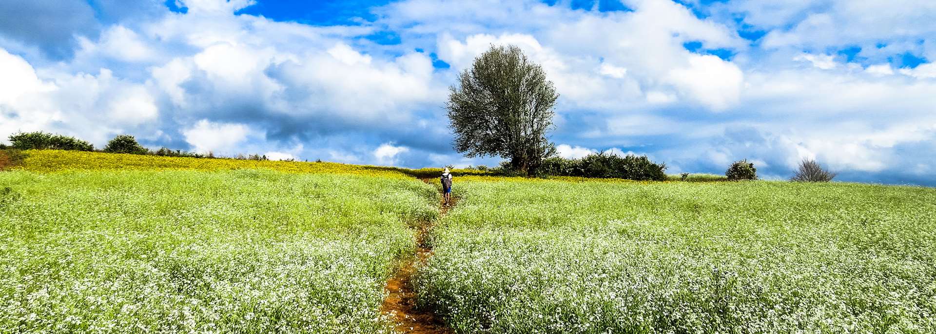 Trekking from Kalaw to Inle Lake