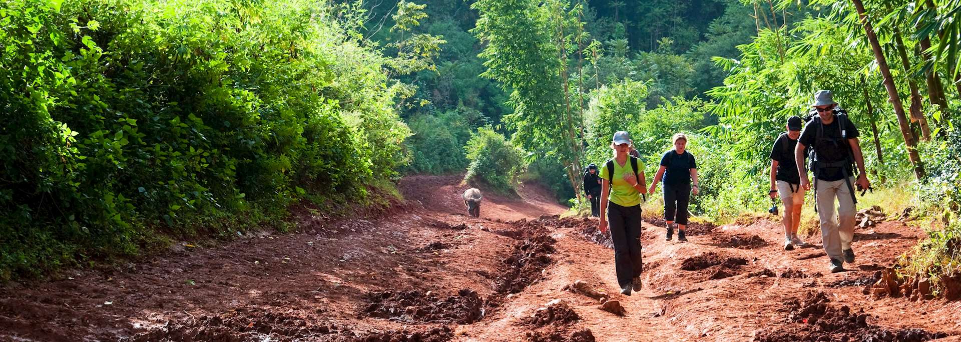 Trekking in Kalaw