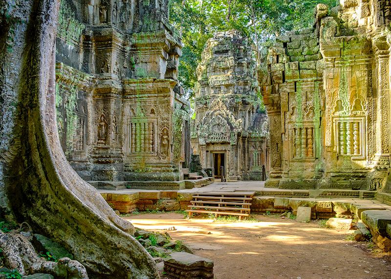 Ta Prohm in Siem Reap, Cambodia