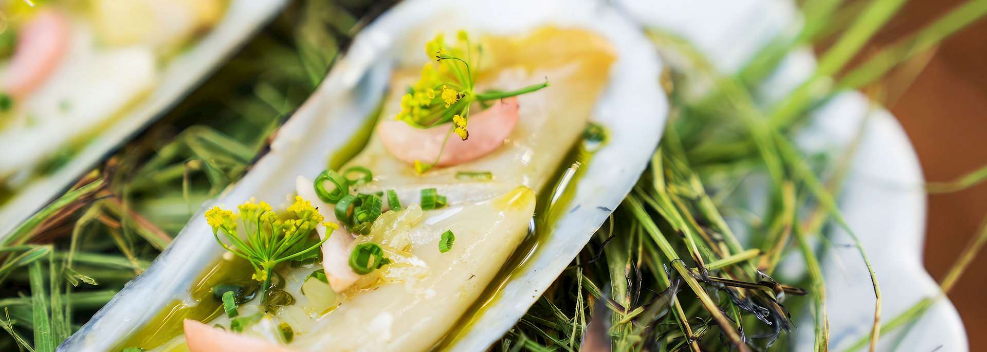 Sustainable dining at Jampa