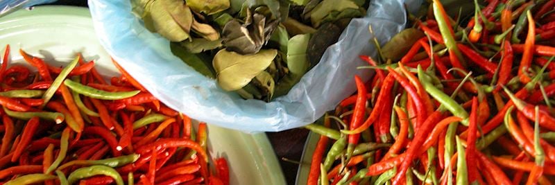 Essential Thai cooking ingredients: chillies and kaffir lime leaves