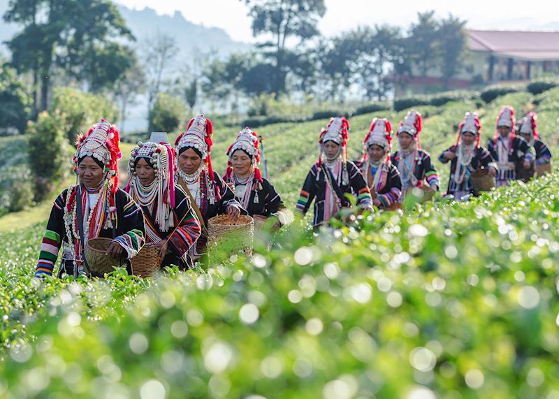 Akha women, Chiang Rai