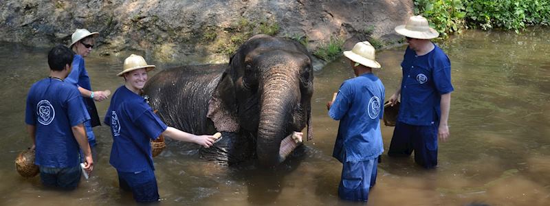 Harriet at the Golden Triangle Asian Elephant Foundation