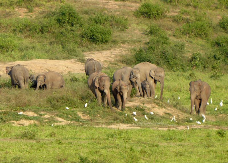 Kui Buri National Park