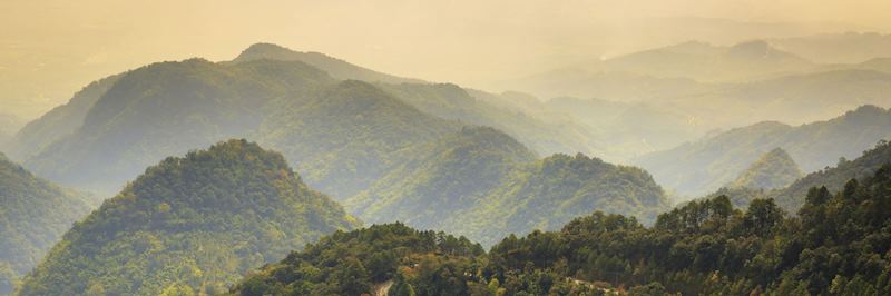 Early morning mists in Doi Angkhang