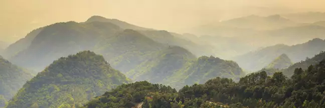 Early morning mists in Doi Angkhang