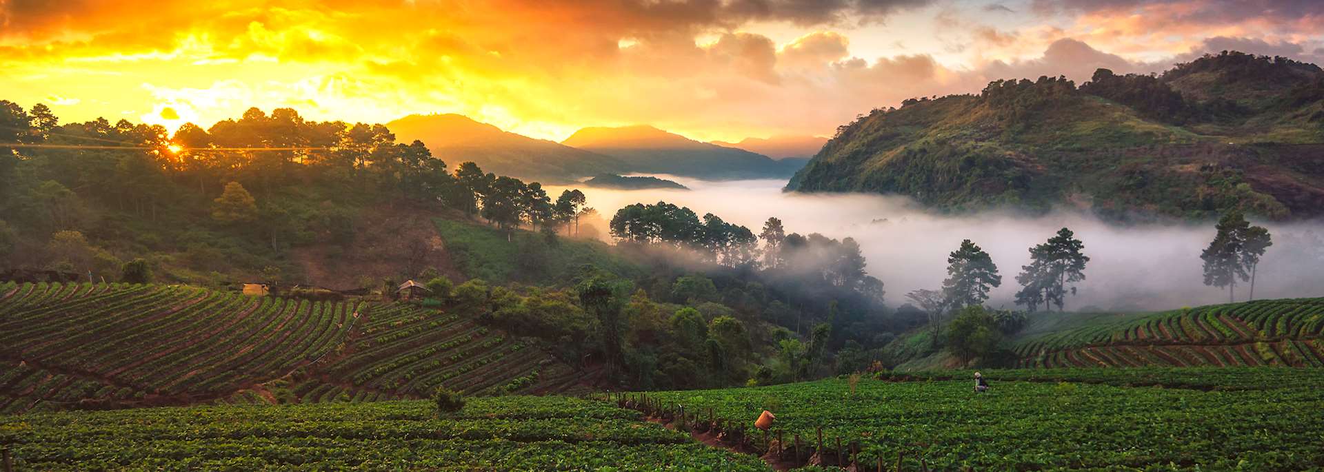Sunrise over the Angkhang Nature Resort