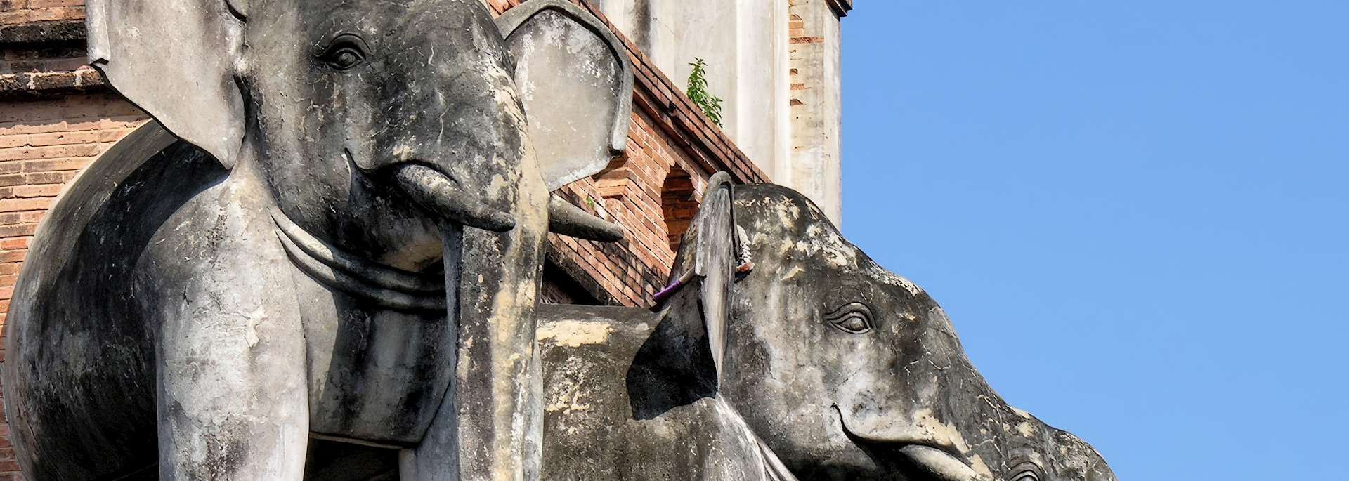 Elephants adorning Wat Chedi Luang
