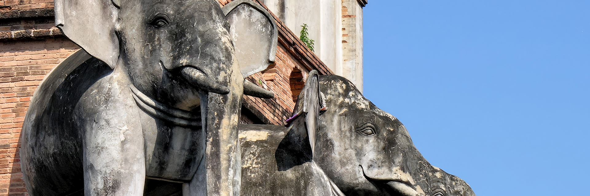 Elephants adorning Wat Chedi Luang