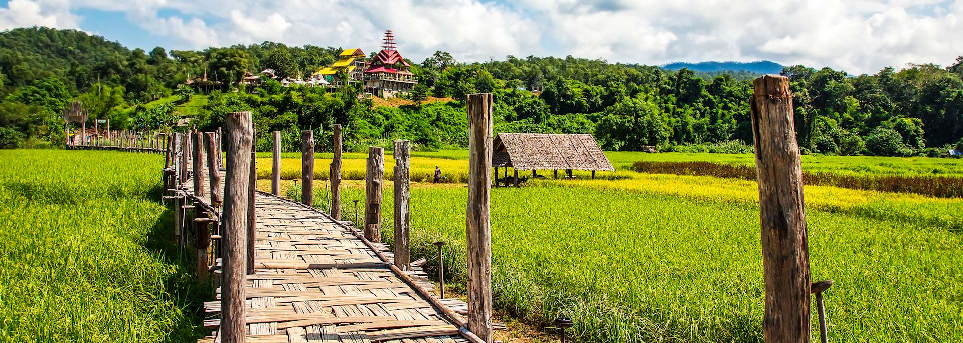 Mae Hong Son rice field