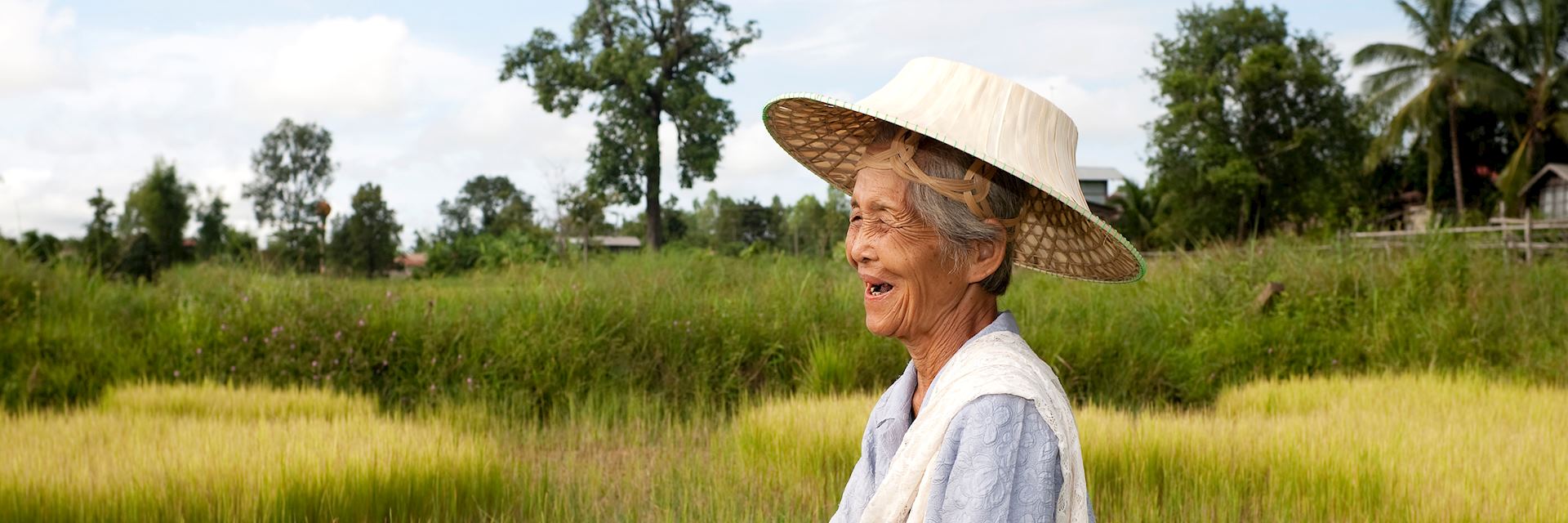 local woman working in a rice field, Thailand