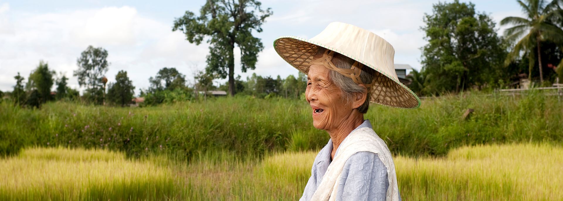 local woman working in a rice field, Thailand