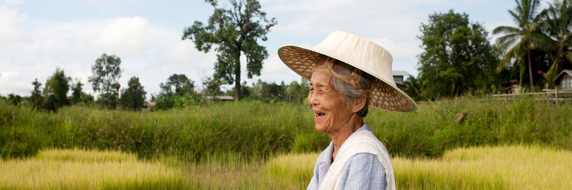 local woman working in a rice field, Thailand