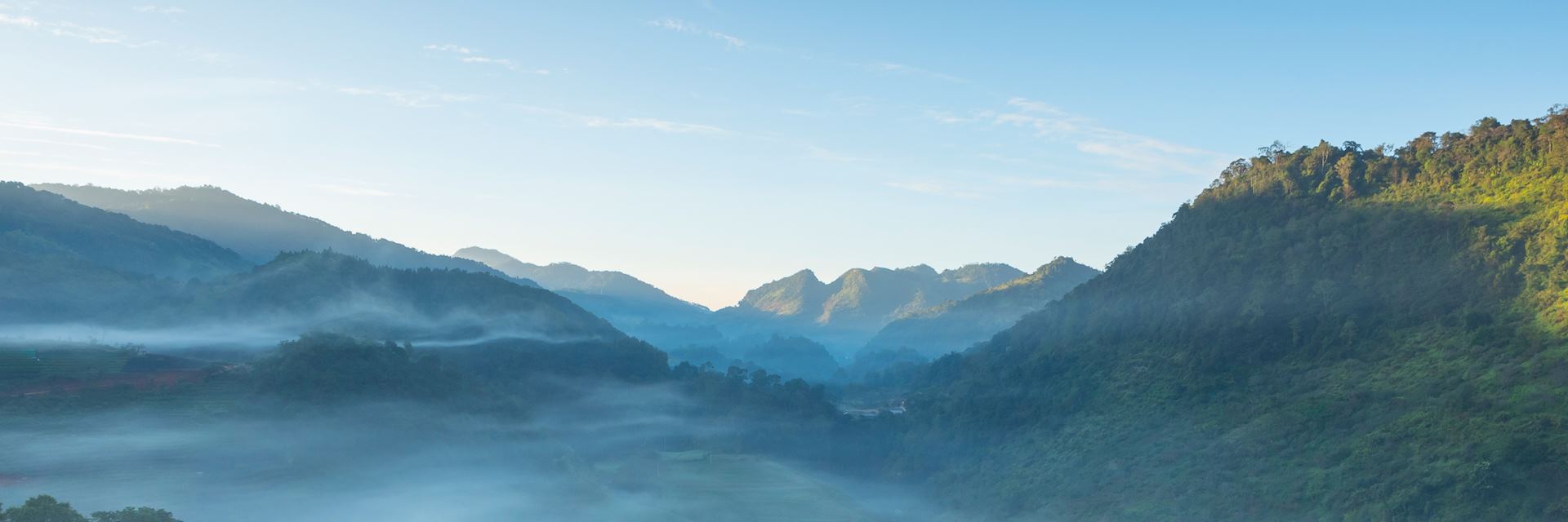 Green tea fields in Fang