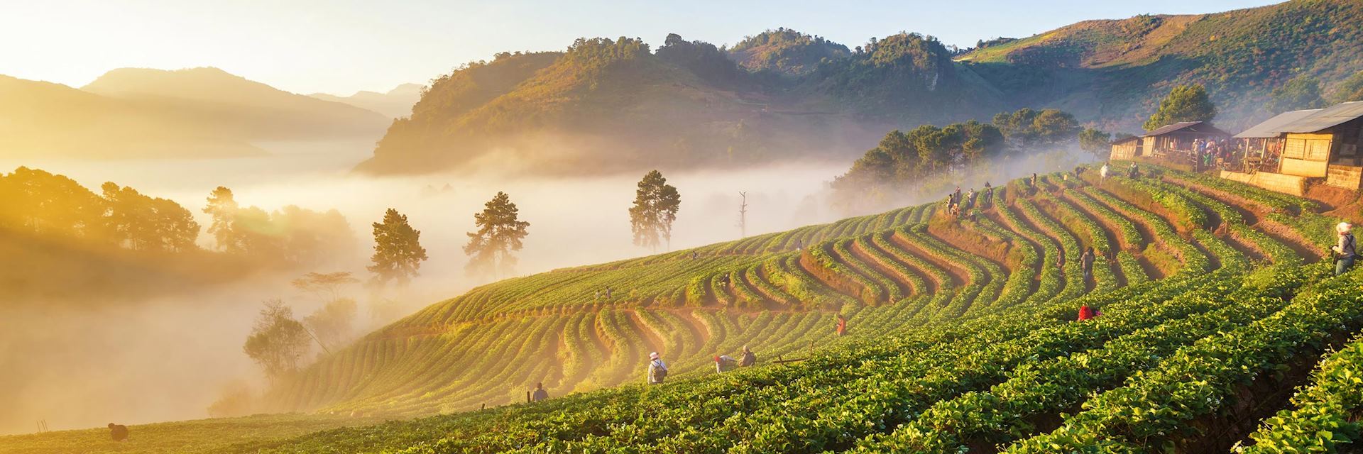 Doi Angkhang