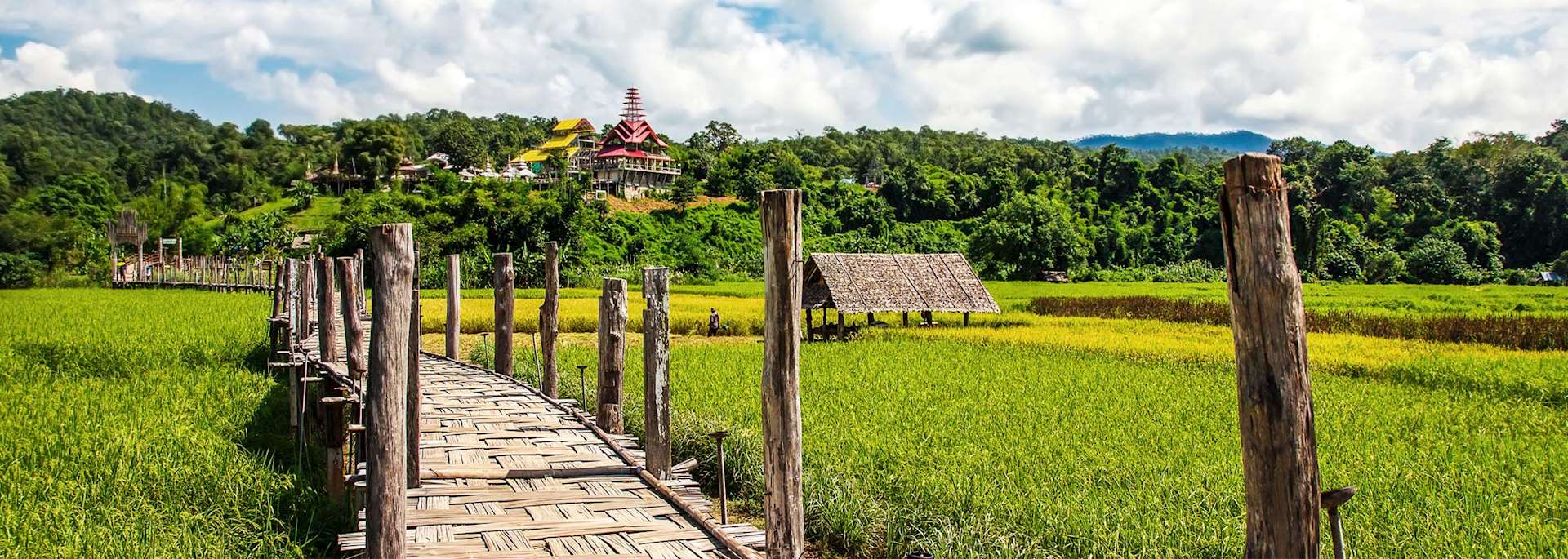 Rice field in Mae Hong Son
