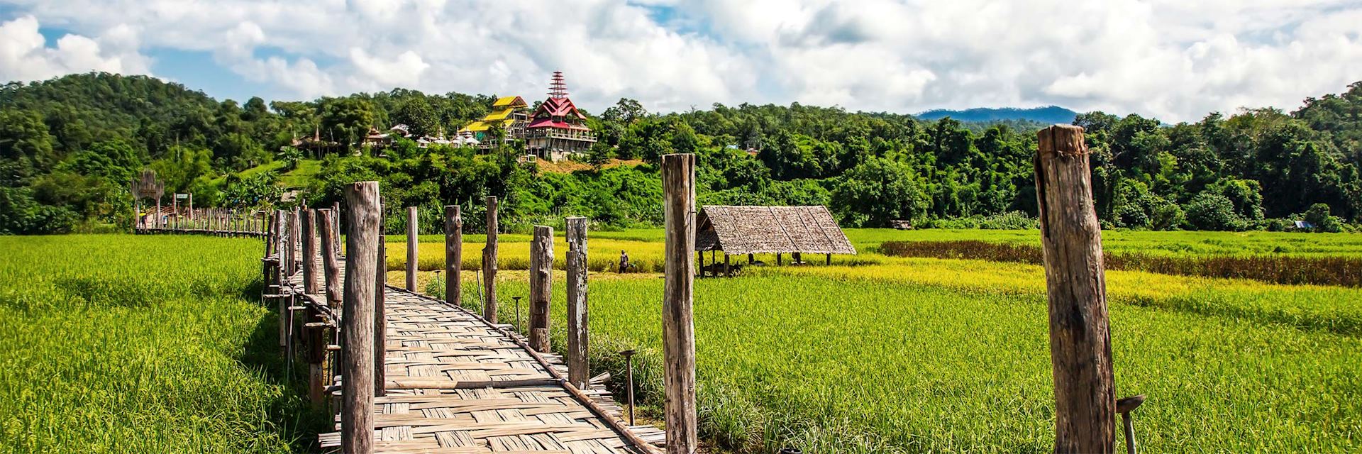 Rice field in Mae Hong Son