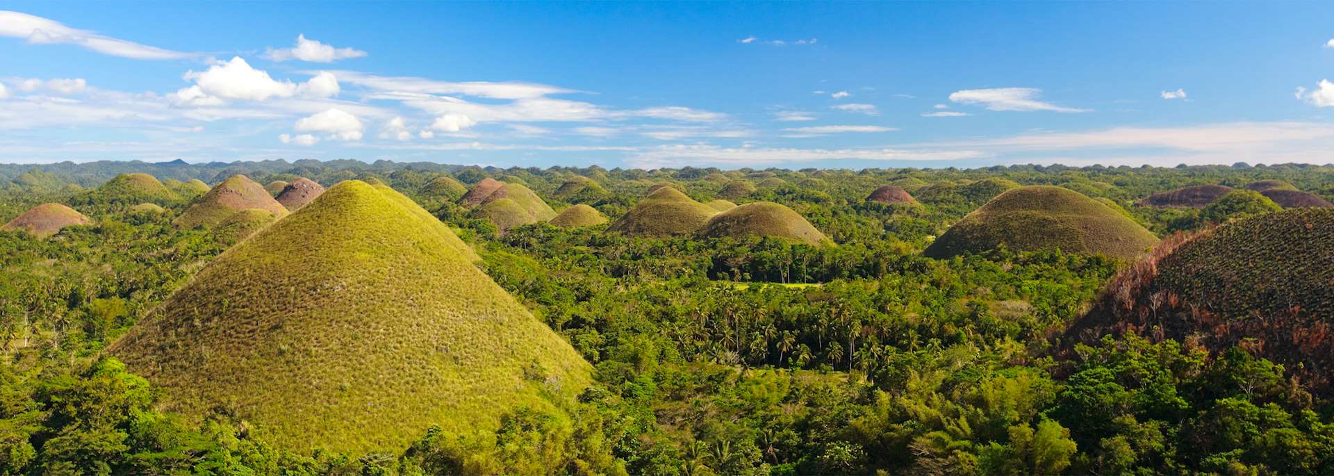 Chocolate Hills in Bohol