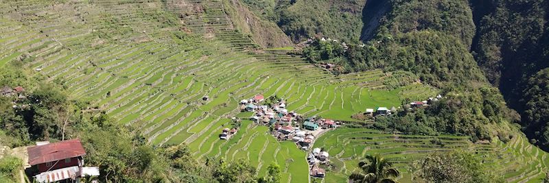 Batad rice terraces, Banaue
