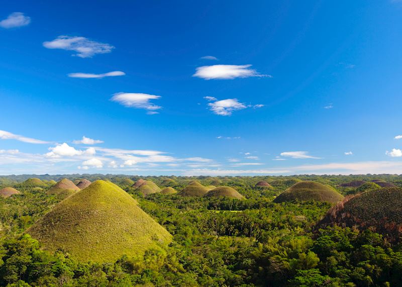 Chocolate Hills in Bohol