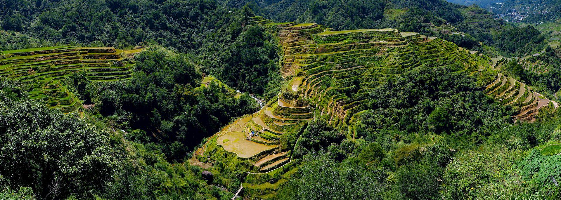 Rice terraces of Banaue