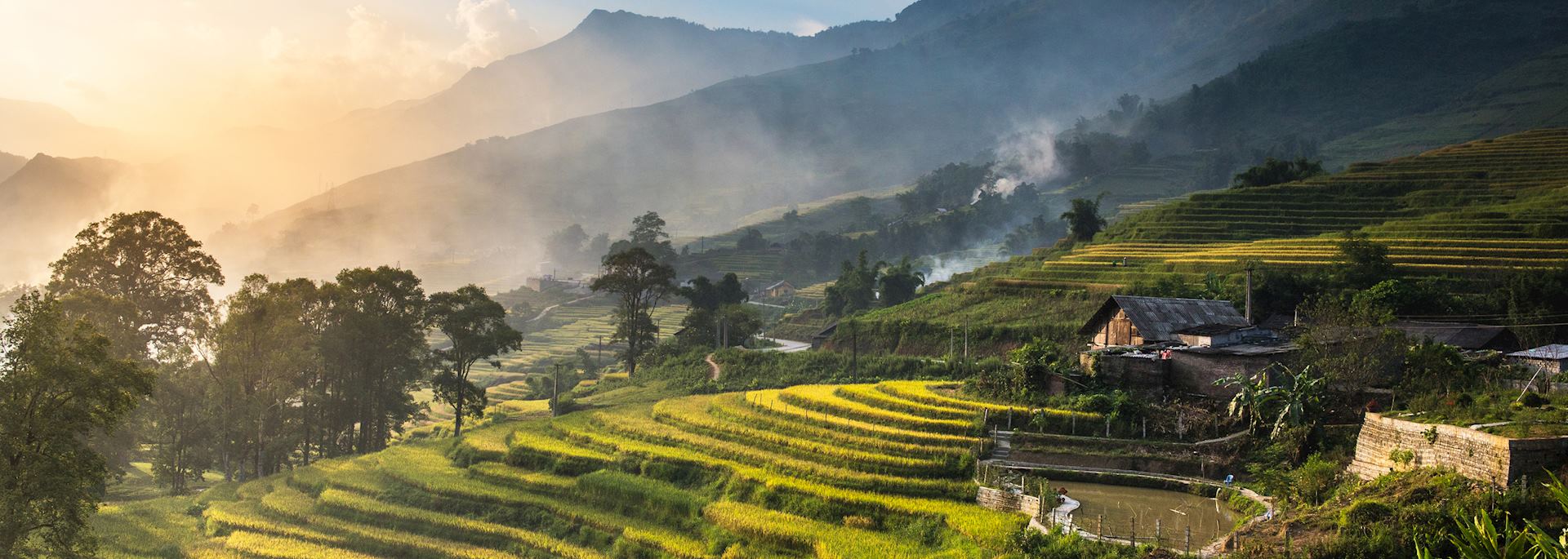 Rice terraces in Sapa