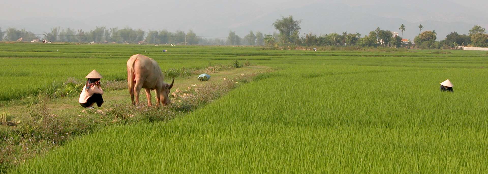 Life in Mai Chau