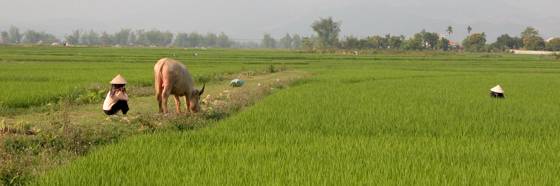 Life in Mai Chau