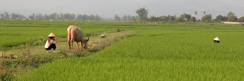 Life in Mai Chau