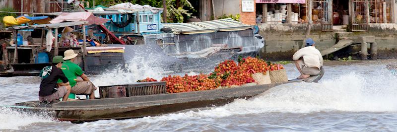 Going to market on the Mekong Delta