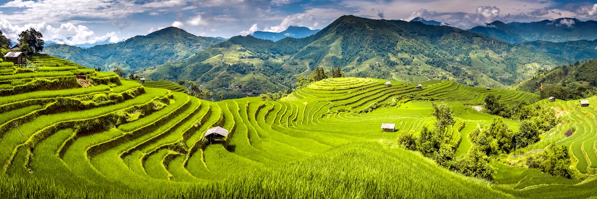 Rice fields in Sapa, Vietnam