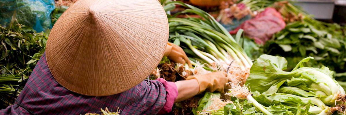 A market vendor in the authentic markets of Northern Vietam