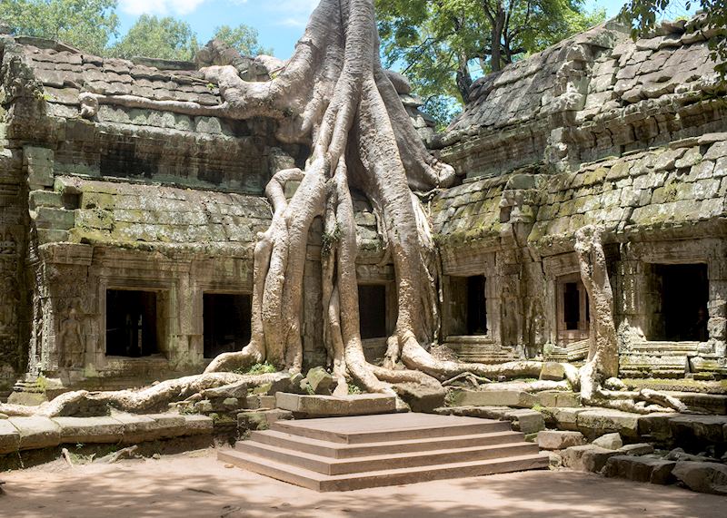 Ta Prohm Temple in Siem Reap, Cambodia