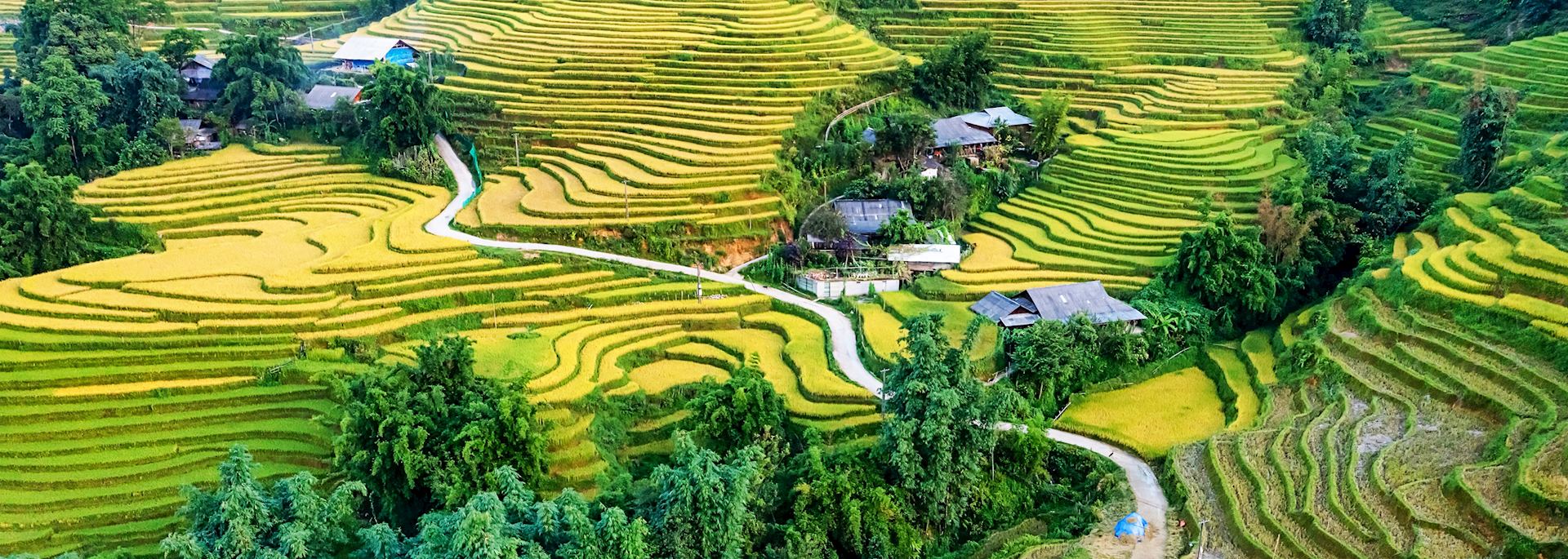 Rice terraces, Sapa