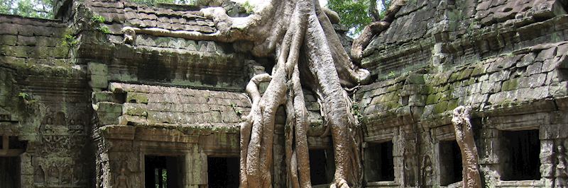 The crumbling ruins of Ta Prohm temple