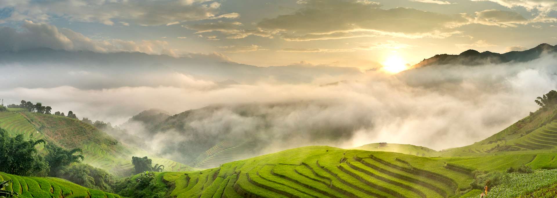Rice terraces in Mu Cang Chai