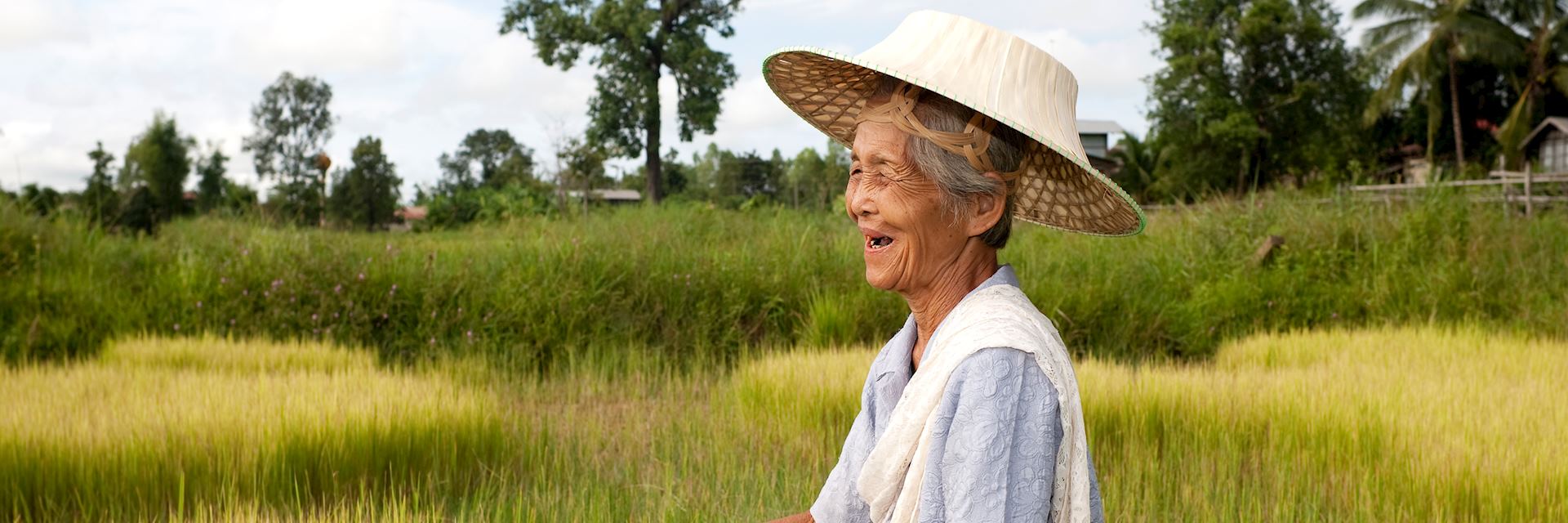 Woman working in a paddy field, Vietnam