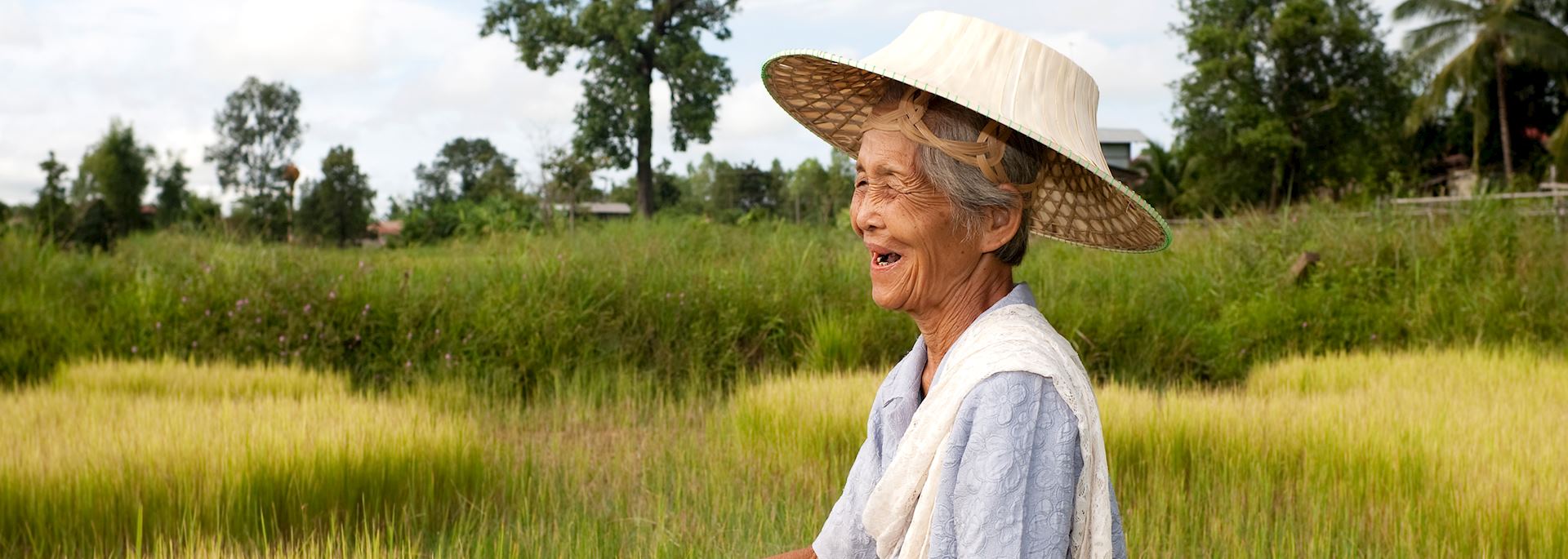 Woman working in a paddy field, Vietnam