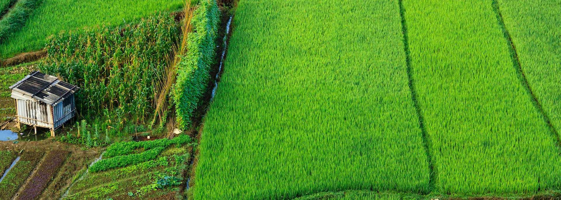 Mai Chau Valley, Vietnam