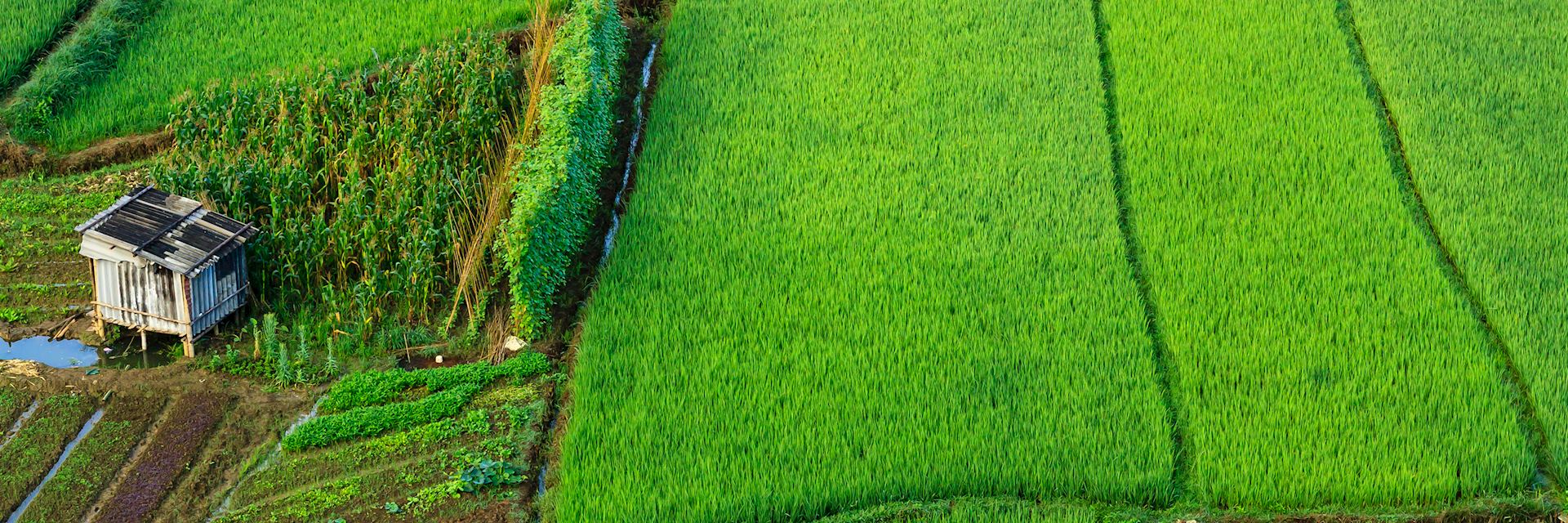 Mai Chau Valley, Vietnam