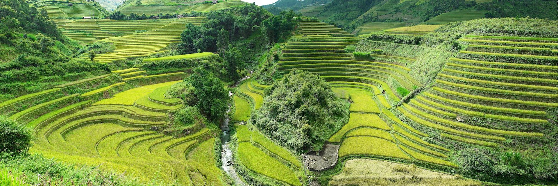 Mu Cang Chai, Vietnam