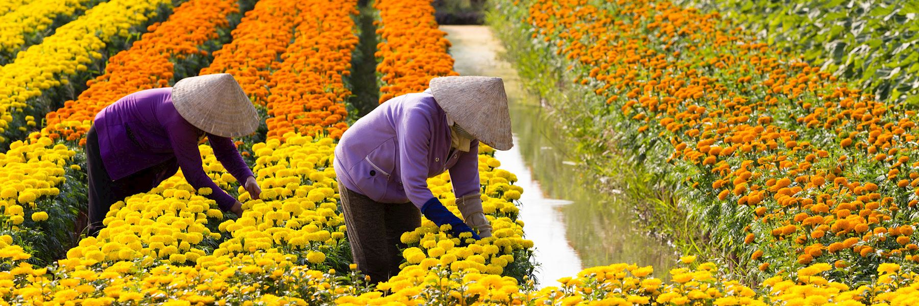 Vietnam travel guides