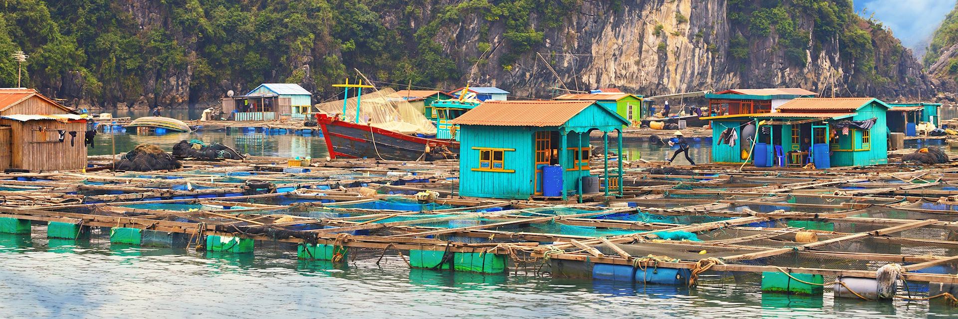 Floating village, Halong Bay