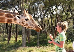 Arista at Giraffe Manor in Kenya