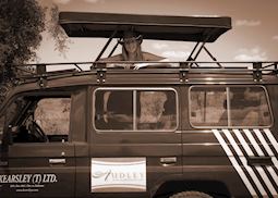 Arista on a safari drive in Tanzania